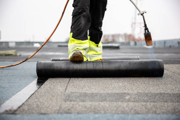 Best Roof Moss and Algae Removal  in Mexico, MO